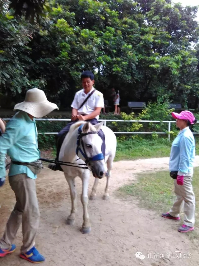 ���ҷ���׌��������á�2015��B�T�м�����(ji��)���(d��ng)��