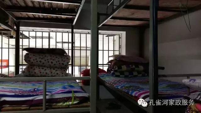 ��ȸ�Ӽ�����ķ������ů��ů�����ģ�