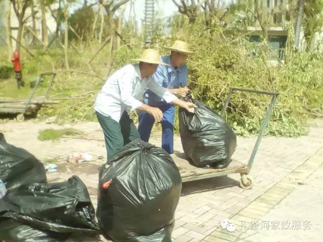 ��������y���������