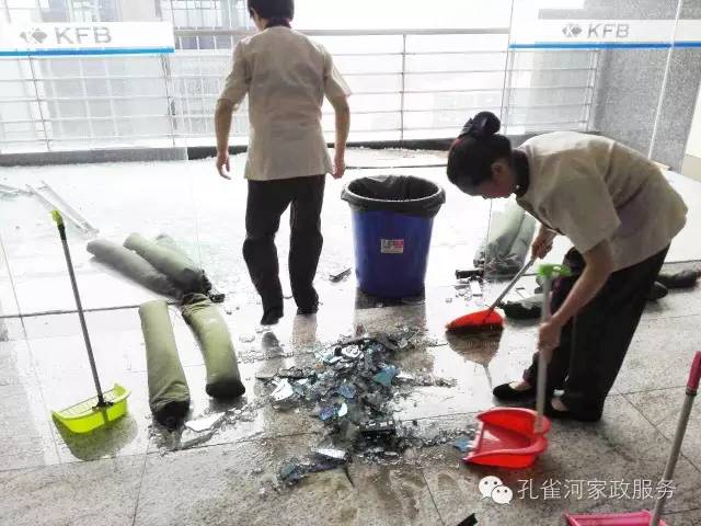 ��������y���������