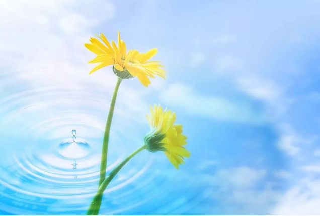 2018經(jīng)典最新感說(shuō)說(shuō),適合做個(gè)性簽名!